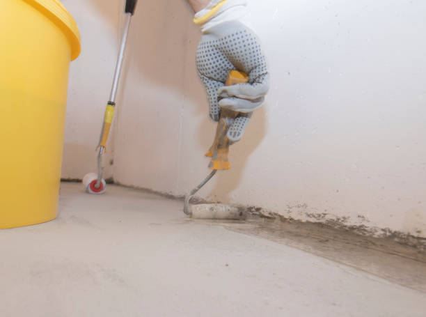 Best Residential Pest Control  in Coloma, MI